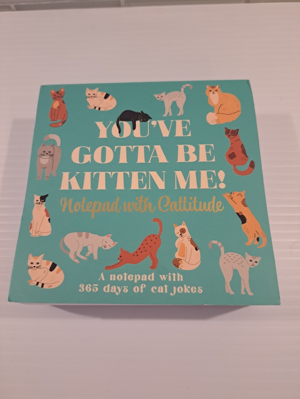 You've Gotta Be Kitten Me! Notepad With Cattitude - 365 Cat Jokes - (Colton)